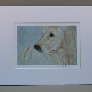 Golden Retriever Dog Art Print Matted And Signed By Cori Solomon