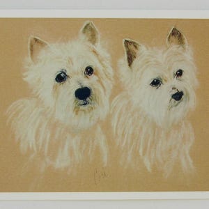 West Highland Terrier Dog Art Note Cards By Cori Solomon