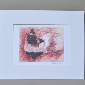 Siamese Cat Ragdoll Cat Art Signed Matted Print By Cori Solomon