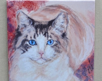 Blue Eyed Cat Art Tile Coaster by  Cori Solomon