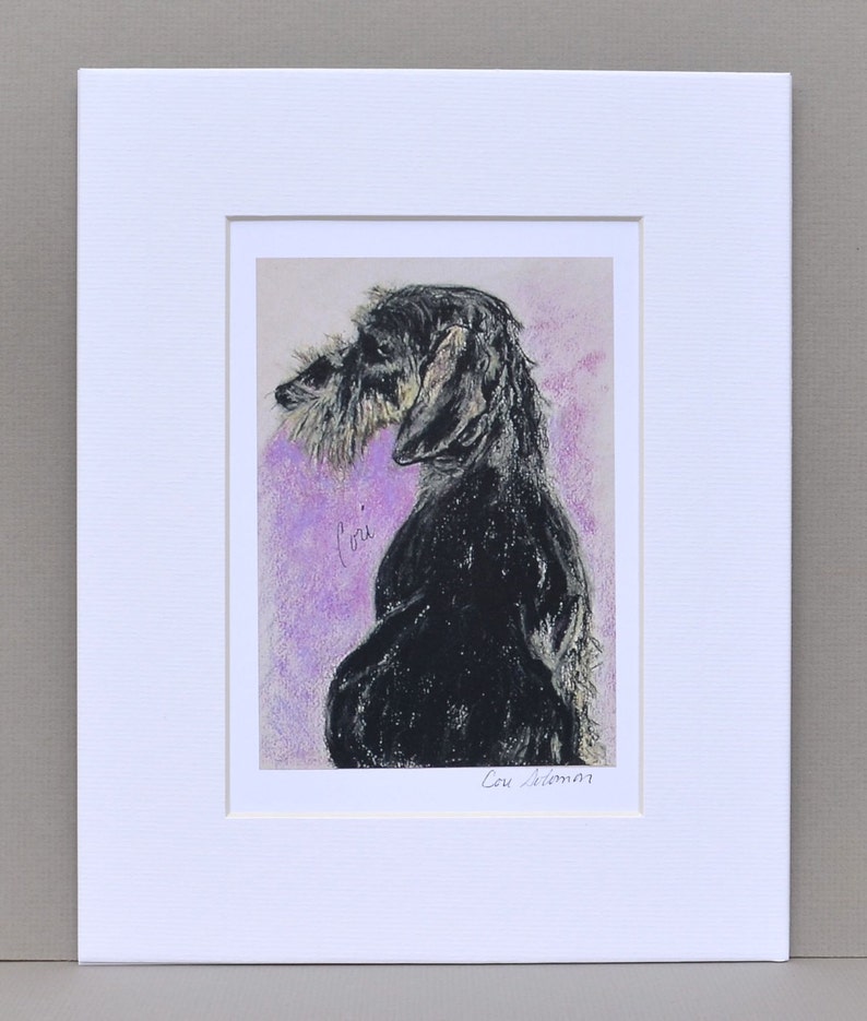 Wire Haired Dachshund Dog Art Signed and Matted Print © Cori Solomon