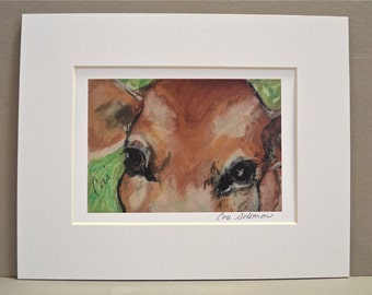 Cow Art Signed Matted Print By Cori Solomon