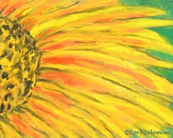 Yellow and Orange Flower Daisy Pastel Drawing  By Cori Solomon