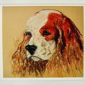 Pensieri oziosi Cocker Spaniel Dog Art Note Cards di Cori Solomon