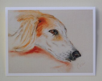 Red Saluki Dog Art Note Cards By Cori Solomon