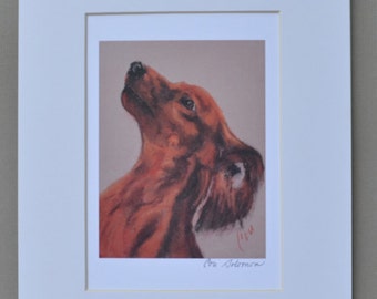 Long Haired Dachshund Dog Art Print By Cori Solomon