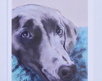 Weimaraner Dog Art Note Cards By Cori Solomon