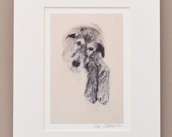 Irish Wolfhound Sight Hound Dog Art Signed and Matted Print By Cori Solomon
