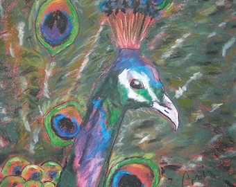 Peacock Art Note Cards By Cori Solomon