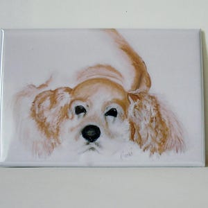 Cocker Spaniel Dog Art Magnet By Cori Solomon