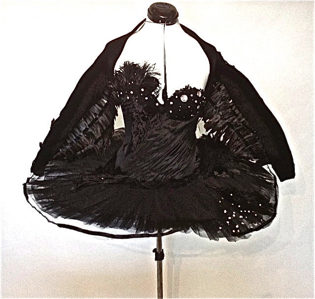 Black Swan Costume |