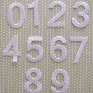 May include: White felt numbers 0 through 9 on a green and white patterned background.