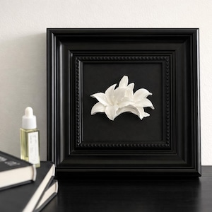 Decoración de pared de piedra perfumada · Difusor de aromas con flor de yeso · Intercambiable magnéticamente · Decoración de pared minimalista · Idea de regalo