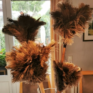 Ostrich feather duster · Duster with real ostrich feathers · Various sizes · Natural cleaning tool · Duster with wooden handle