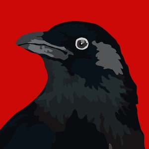 Crow head