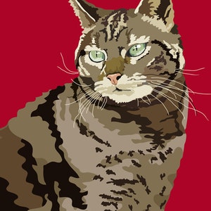 Tabby Cat image 1