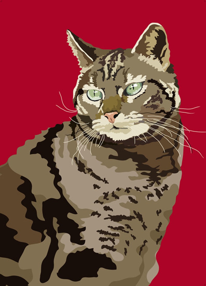 Tabby Cat image 1