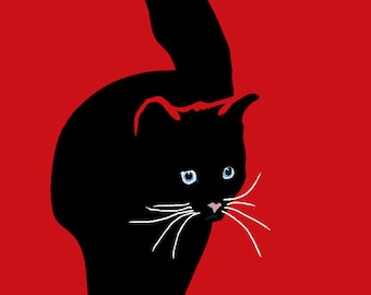 Black cat in red