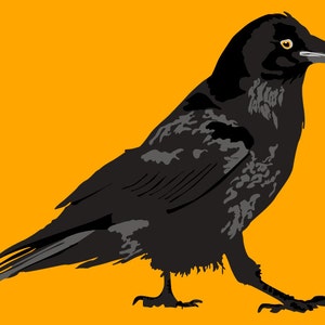 Crow