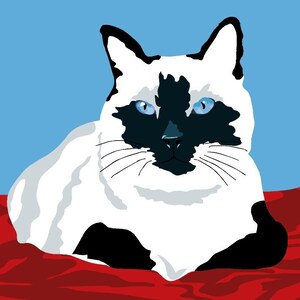 Siamese Cat