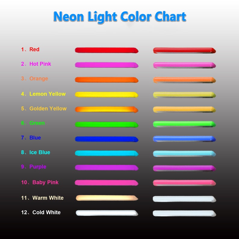 Puede incluir: Una carta de colores titulada "Neon Light Color Chart" muestra 12 colores de ne&oacute;n, incluyendo rojo, rosa intenso, naranja, amarillo lim&oacute;n, amarillo dorado, verde, azul, azul hielo, morado, rosa beb&eacute;, blanco c&aacute;lido y blanco fr&iacute;o.