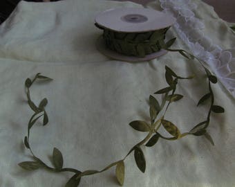 scrapbooking vine , about 20 yds, moss green