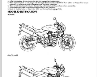 Honda Hornet CB600F 2003-2006 Service Repair Manual pdf Download