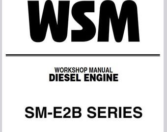 Kubota SM-E2B Series Diesel Engine Workshop Service Repair Manual WSM Pdf Download