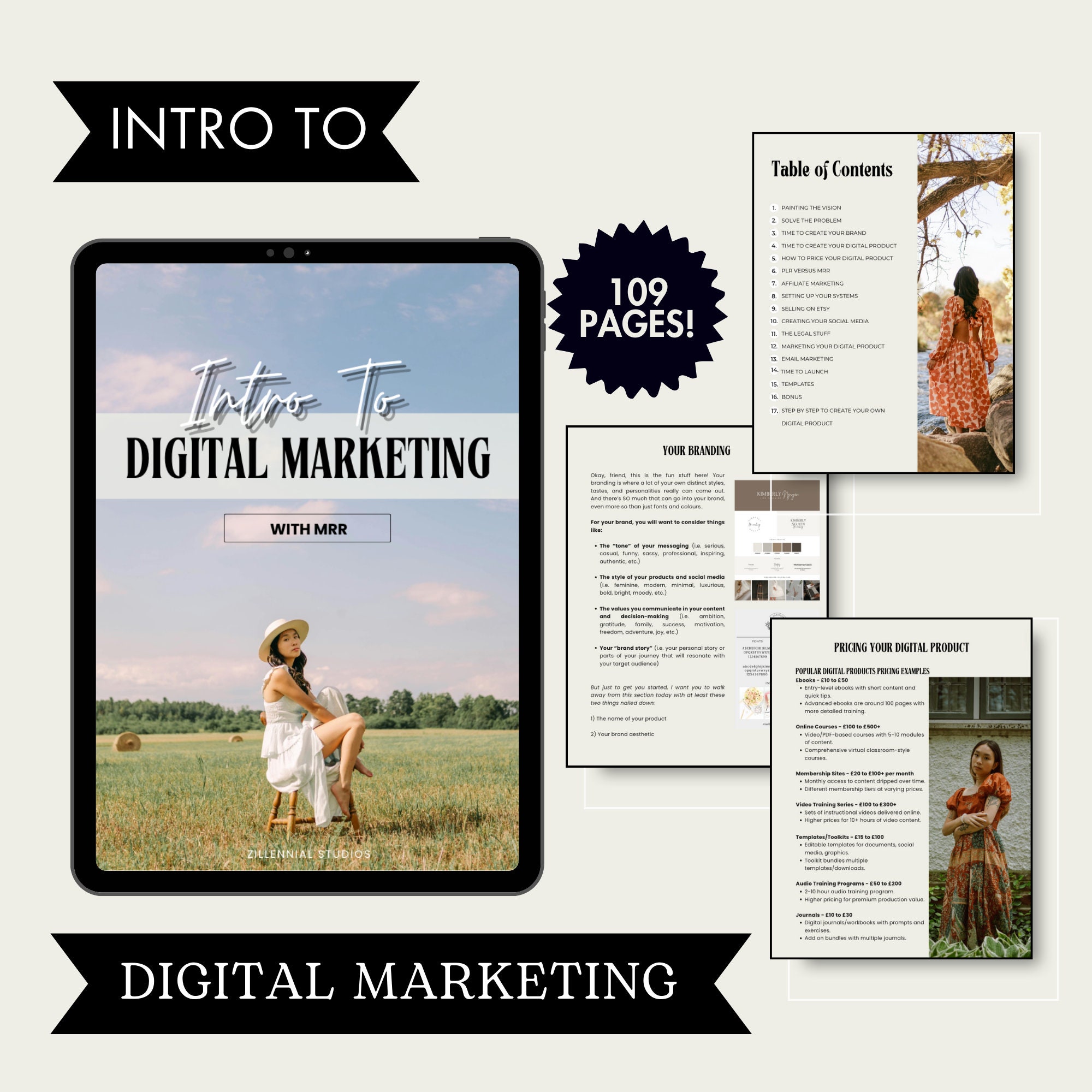 Intro to Digital Marketing With Master Resell Rights MRR and Private ...
