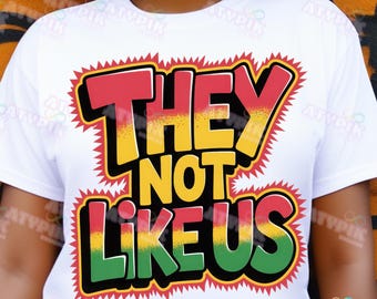 They Not Like Us Png, Juneteenth 1865 Png, Afro Juneteenth Png, Black History Month Sublimation Png, Independence Day Shirt Design Png