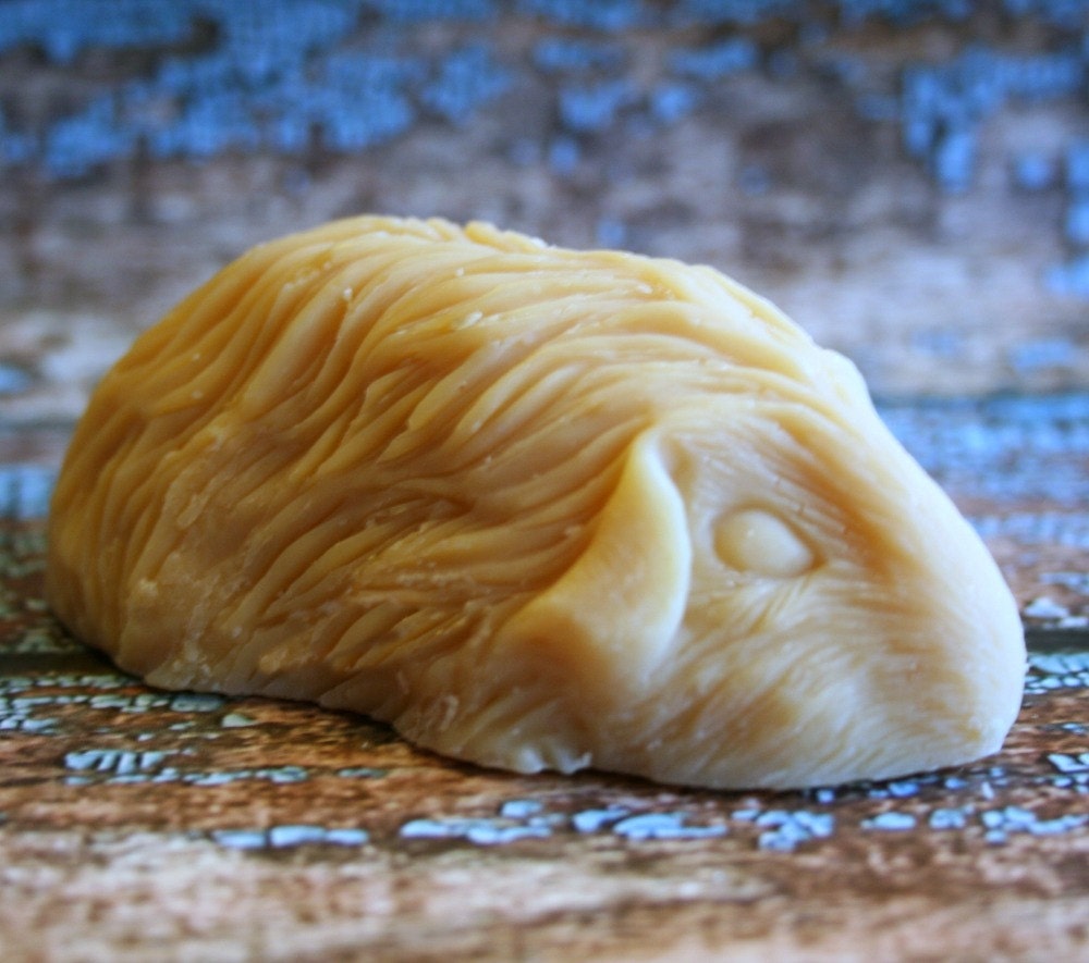 Scented Guinea Pig Soap Guinea Pig Goat's Milk Soap Etsy