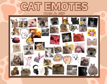 Paquete de emoticonos de gato: GIF PNG animado para Discord y Twitch (descarga digital)