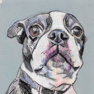 Custom Pet Portrait Drawing