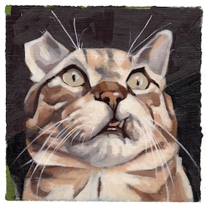Custom Pet Portrait Painting  8x10"