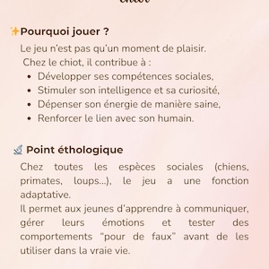 Peut inclure: Graphique d'information pêche clair avec du texte en français sur l'importance du jeu pour les chiots. Le texte, dans une police manuscrite, comprend des puces sur les compétences sociales et l'énergie.