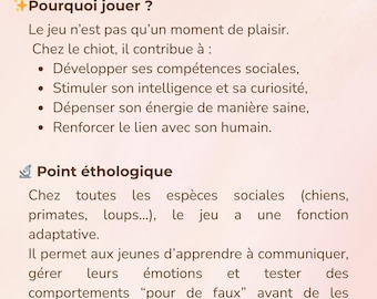 Comment bien jouer avec son chiot - Fiche mémo jeu & développement - Guide pratique PDF A5 - Éducation positive - Jouet chien