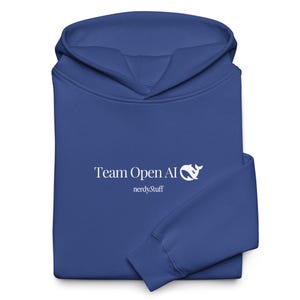 DeepSeek Hoodie | Tech Clothing | Programmer Gift | Software Engineer Gift