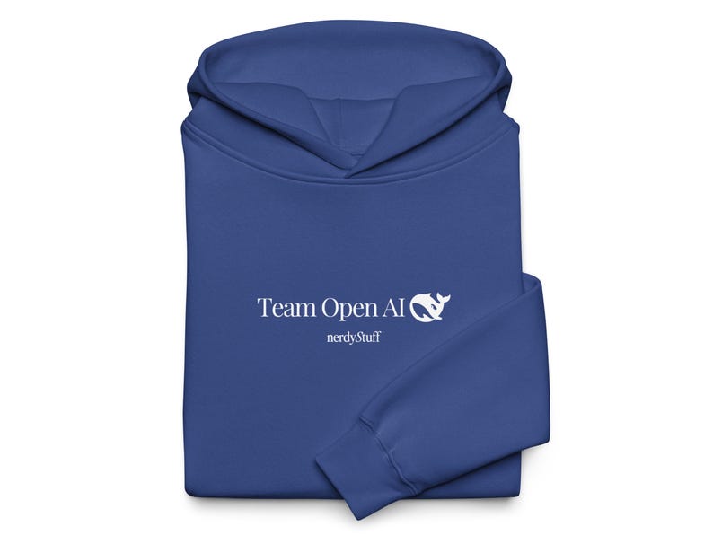 DeepSeek Hoodie | Tech Clothing | Programmer Gift | Software Engineer Gift