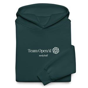 Programmierer Hoodie, Kodierung Hoodie, Programmierer Hoodie, Programmierer Geschenk, Nerdy Hoodie, Tech-Liebhaber Hoodie, Programmierer Geschenk, OpenAI Hoodie