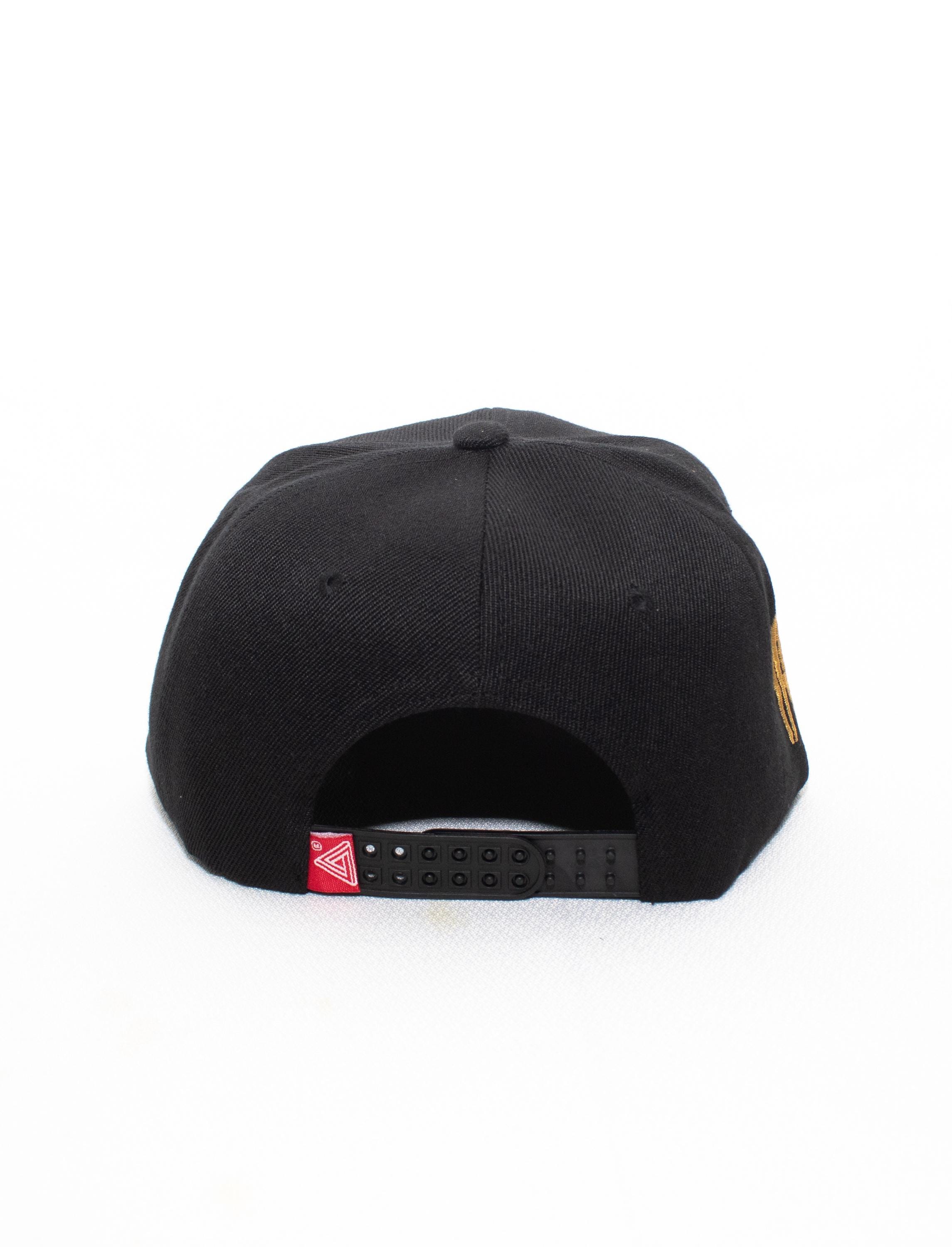 Travis Scott - Astroworld / Embroidered Baseball Cap / Snapback