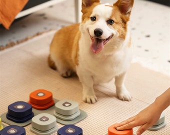 Bouton de communication pour animal de compagnie 4 couleurs, boutons qui parlent pour chien, boutons de communication pour chien, boutons pour chien qui parlent, communicateur animal près de moi