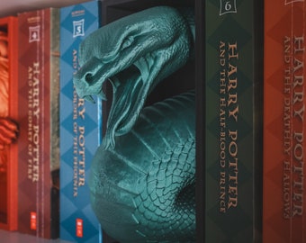 House Snake Book Nook