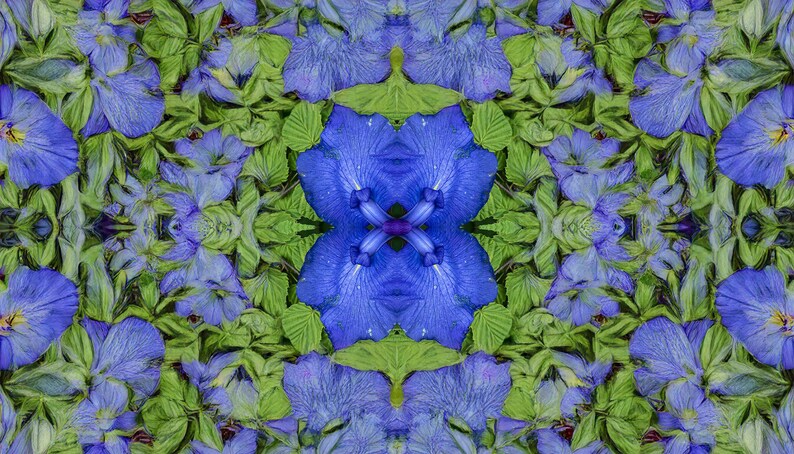 headband / neck scarf with a rabbit ear iris design