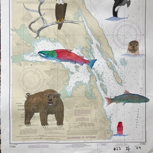 Abbildung: Wildtiere rund um Admiralty Island