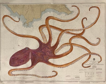 Chart Art: Pacific Giant Octopus Painting on an old Chart of San Clemente Island