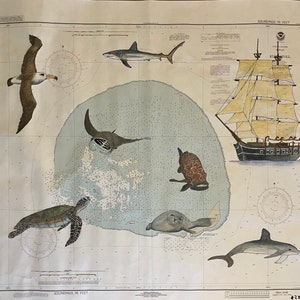 Arte gráfico: pintura de un barco ballenero, un albatros, un tiburón, un delfín, una tortuga marina, una manta y un mero en una carta náutica del atolón de Kure, Hawái