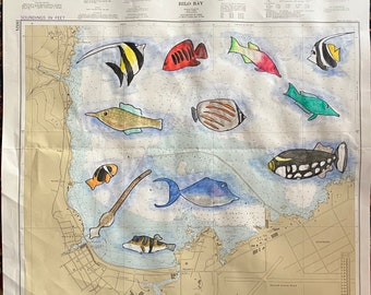 Arte grafica: pesci tropicali nella baia di Hilo