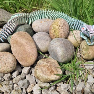 May include: A turquoise and silver articulated snake toy lies amongst smooth stones and gravel, with green grass in the background. The snake's head has red eyes and an open mouth.