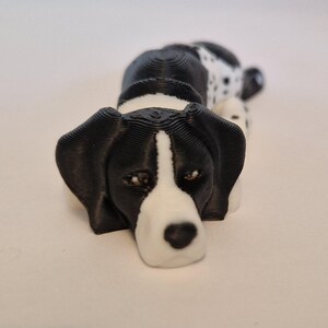 May include: A 3D-printed dog figurine, lying down. The dog is black and white, with a black body and head, and a white face and chest. The figurine has a textured surface. The dog's markings include spots on its back.