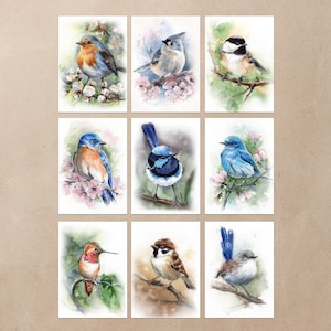 May include: Nine watercolor art prints featuring various birds perched on branches with flowers. The birds showcase a range of colors, including blue, orange, brown, and gray. Each print has a white border and a soft watercolor background.